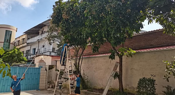 富二代成人斗音儲良龍眼，詮釋（shì）濃情盛夏|廣（guǎng）有五金&東莞合頁