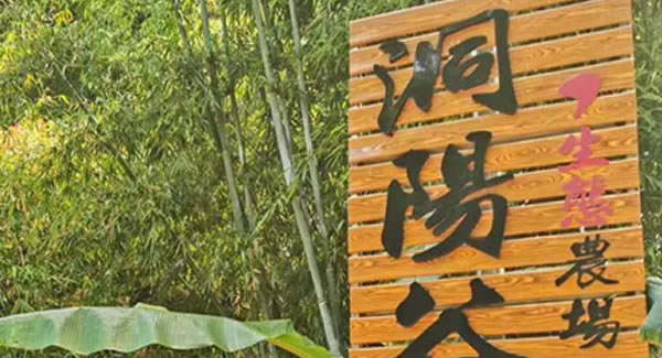 富二代成人斗音合頁2019踏春拓展（zhǎn）--經（jīng）曆中成長，成長中經曆?