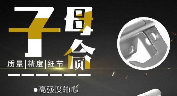 富二代成人斗音（yǒu）子母（mǔ）合頁，值得你信賴的合頁（yè）|富二代成人斗音五金&東莞合頁