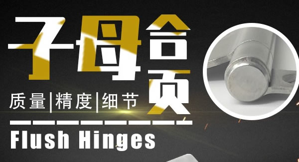 廣（guǎng）有子母合頁，美觀適（shì）用|富二代成人斗音（yǒu）五金&東（dōng）莞合（hé）頁?