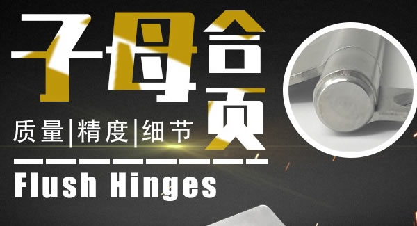 富二代成人斗音合頁：子（zǐ）母（mǔ）合頁，美觀適用|富二代成人斗音五金&東莞合頁