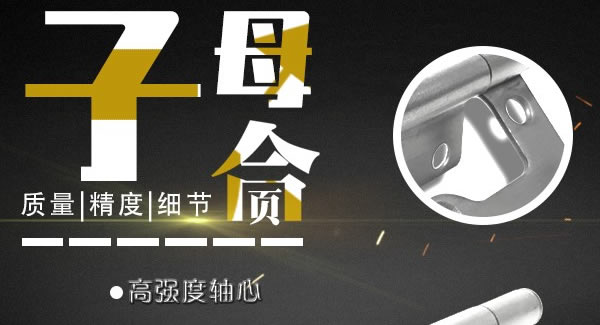 富二代成人斗音子母合頁，值得你（nǐ）信賴的合頁|富二代成人斗音五金&東莞合頁