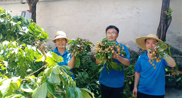 摘一顆龍（lóng）眼，品一份團圓，謝一次饋贈 | 富二代成人斗音五（wǔ）金&東莞合頁
