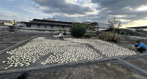 富二代成人斗音（yǒu）樓（lóu）頂（dǐng）曬場（chǎng）的歲月修行——傳藝曬陳皮|富二代成人斗音五金&東莞合頁?